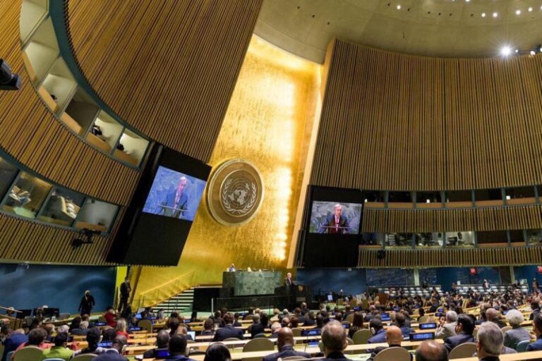 Argentina, único país que votó en contra de la eliminación de la violencia a mujeres y niñas