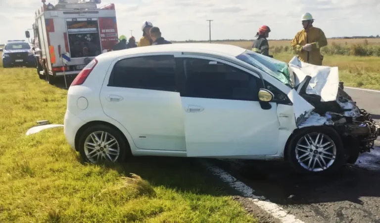 Falleció un automovilista en la Ruta Nacional 7, tras chocar con el acoplado de un camión