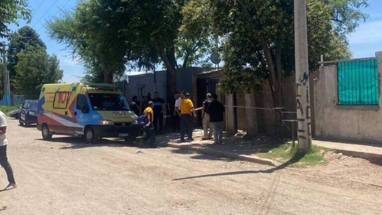 Una niña de 13 años halló a su madre muerta y a su padre con graves heridas