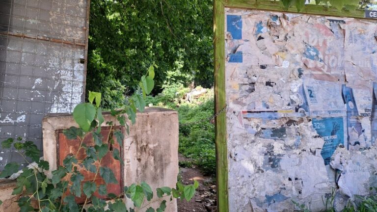 Un terreno usurpado a pocas cuadras del centro se volvió un aguantadero de la delincuencia