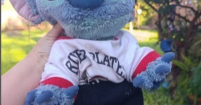 «Operación Stitch»: insólito operativo para recuperar el peluche robado a una nena