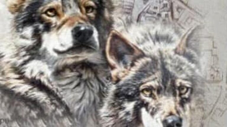 Qué hacer hoy en Córdoba, lunes 2 de junio de 2025