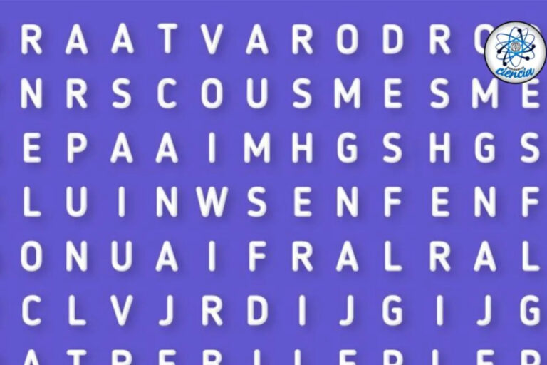 Acertijo visual: descubrí a dónde está la palabra noche