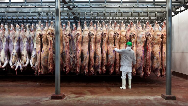 La importación de carne vacuna, un mercado que comienza a crecer