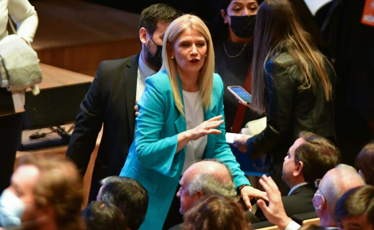 Con desempate de Magario, el Senado bonaerense aprobó la reelección indefinida de legisladores