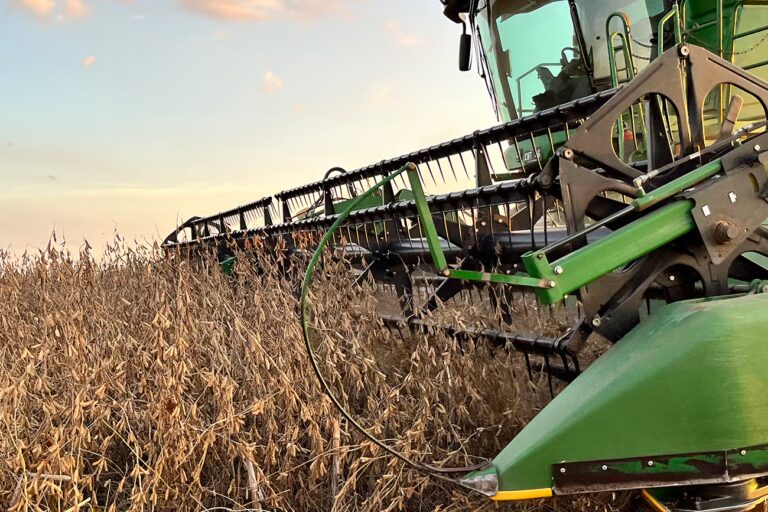 La baja de las retenciones aportó dólares a la economía, pero no reservas al Banco Central