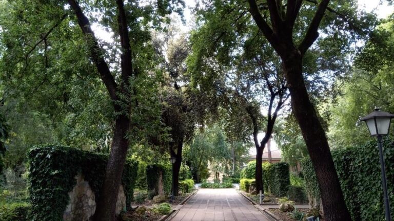 Hacemos reclama un plan de rescate para el Jardín Botánico de Córdoba