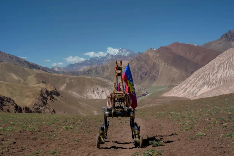 El proyecto de una artista que estudió en Córdoba gana el Nica de Oro en Ars Electronica 2025
