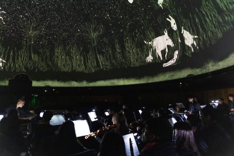 Sueños diurnos en el Planetario