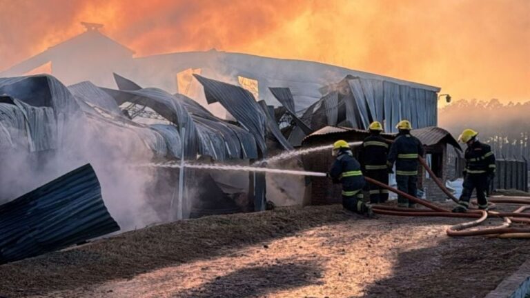 Controlaron el incendio en el aserradero y habilitaron el tránsito en la Ruta 5