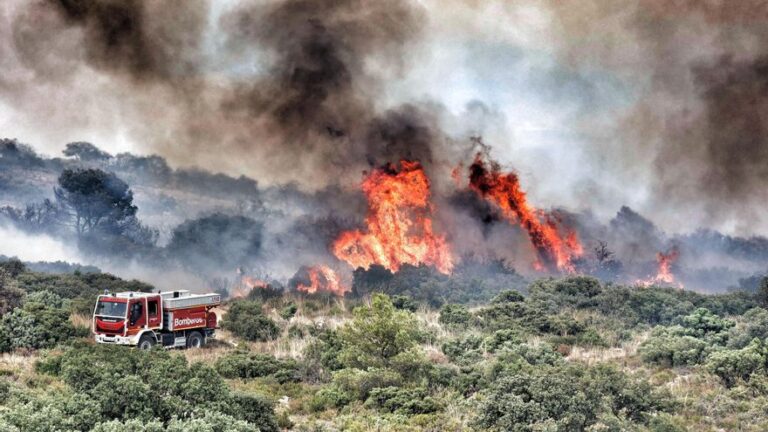 El incendio forestal de Ibi, a pie de llama: así arde el paraje de San Pascual
