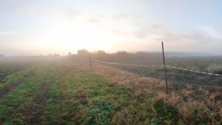 La Plata: hallan muerto a un niño de 2 años y apuntan a un ataque de perros