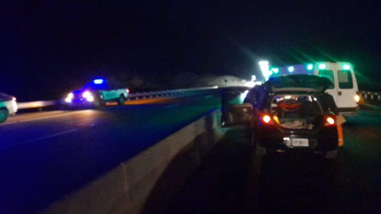 Chocó contra un caballo que se le cruzó en la Autovía de Punila