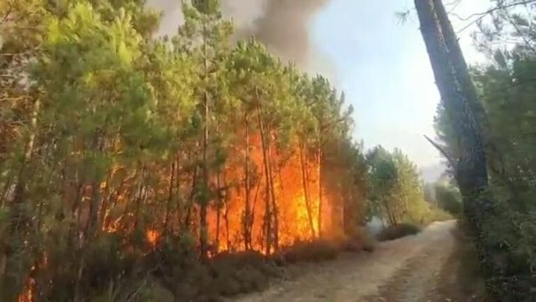 Video | El incendio de Las Hurdes, este miércoles
