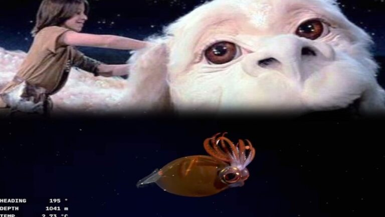 «La Historia sin fin» del CONICET, una expedición de película de fantasía