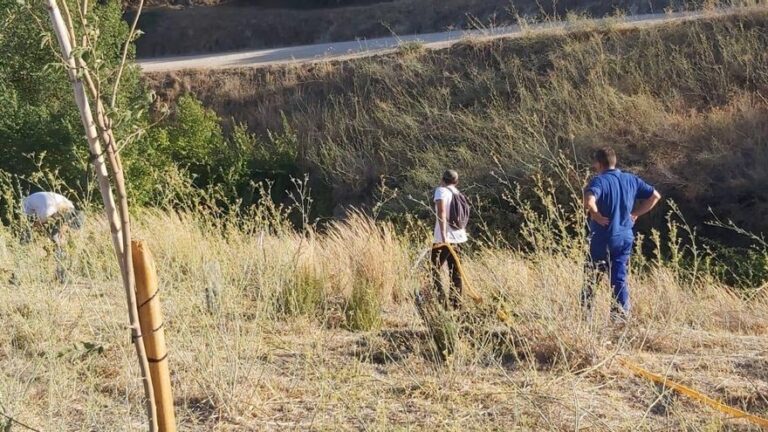Ecologistas en Acción Montilla solicita ayuda para el riego de árboles
