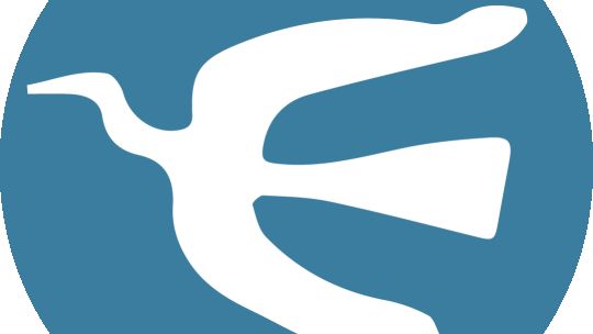 Colapinto mejoró en Hungría: larga 14º, pero se quejó de su Alpine