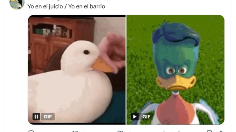 Explotaron los memes del Pato Juan y su caso ya es furor en todo el país