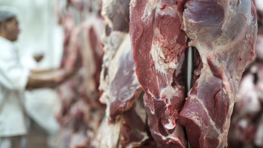 Chile confirmó que suspende la importación de carne de la Patagonia argentina