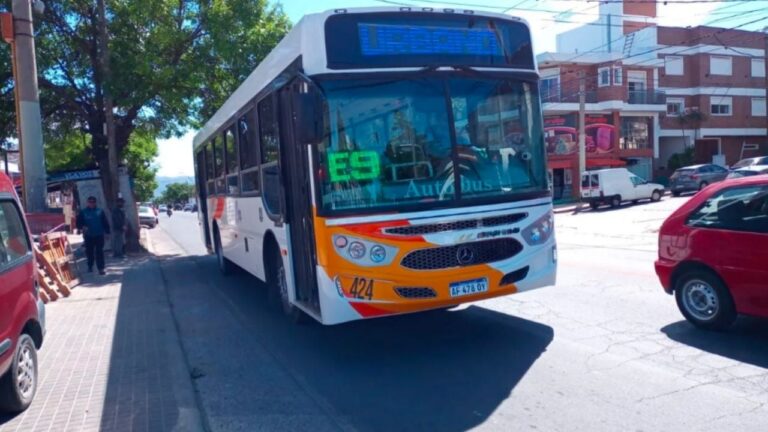 Mañana el transporte será gratuito para que los chicos celebren su día