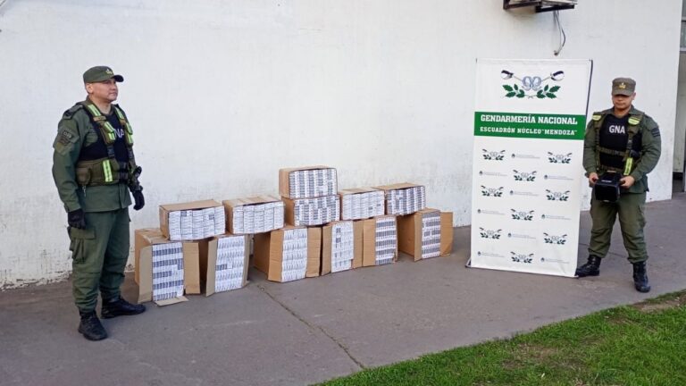 Secuestran droga, cigarrillos y mercadería ilegal valuada en más de $28 millones