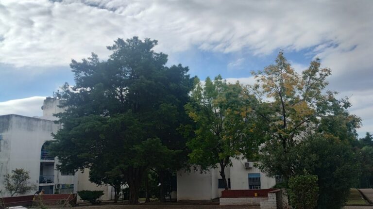 Pronóstico: anticipan ventosas y frescas jornadas en Córdoba