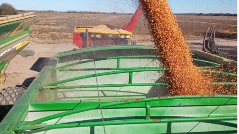 Tragedia rural en Córdoba: niña de 5 años perdió la vida en una tolva