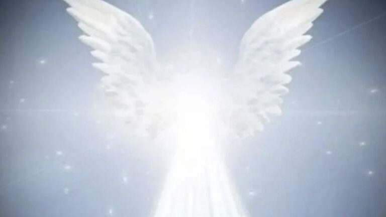 Oráculo del ángel para el 18 de agosto