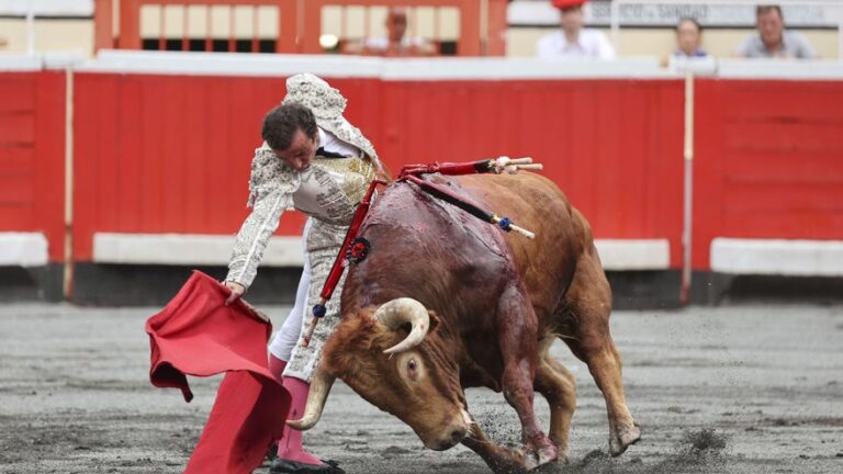 Damián Castaño contribuye a una injustificada exaltación torista