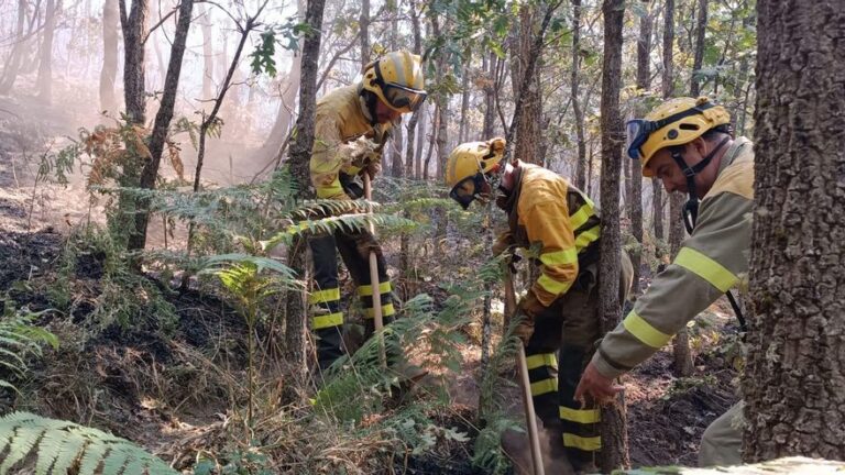 El perímetro del incendio de Sanabria (Zamora) supera los 100 kilómetros