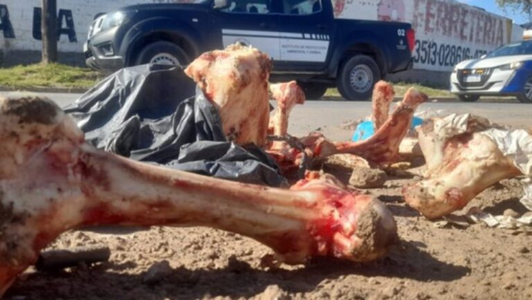Clausura de frigorífico en Córdoba por tirar restos de huesos y carne a la calle