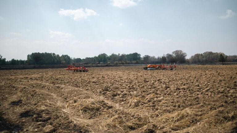 El campo reclama entrar en el Pacto de Estado contra el cambio climático: «Talar un árbol no es un crimen, es hacer gestión forestal»