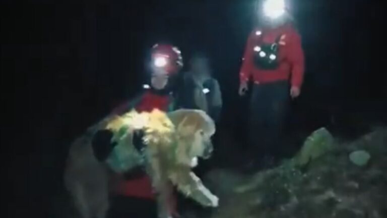 Rescataron a dos hombres y a sus perros agotados en el Cerro Champaquí