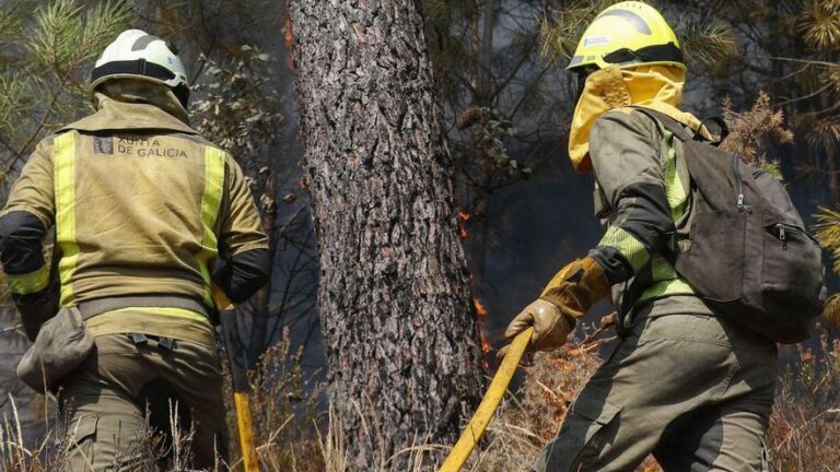 Mientras Galicia arde, el País Vasco resiste: la gestión del monte es clave