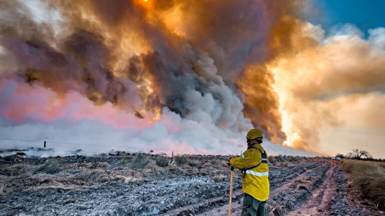 Guardan cenizas en El Porvenir tras un incendio que quemó más de 1000 hectáreas