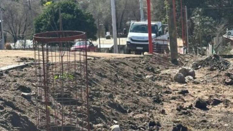 Bialet Massé: parquizan y reforestan la calle Próspero Molina