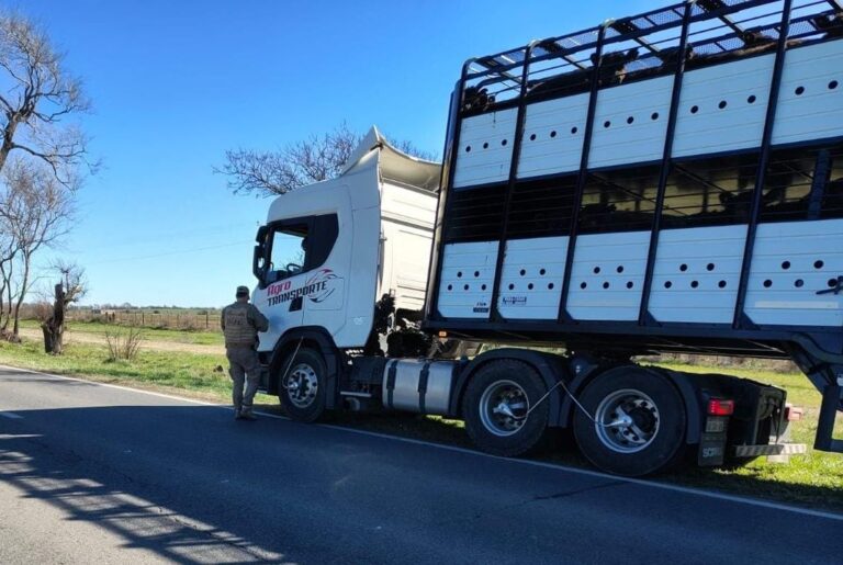 Córdoba: 36 detenidos y secuestro de animales en múltiples operativos policiales