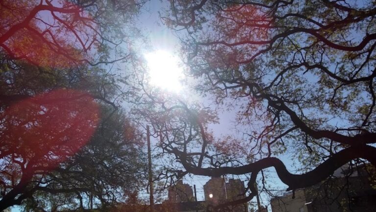El tiempo: un sol cuasi otoñal, presente estos días en Córdoba