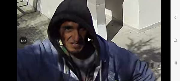 Vecinos hartos de los robos viralizaron los videos de sus cámaras de seguridad