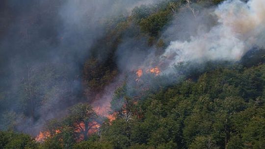 Los incendios forestales en la Patagonia cuadruplicaron su impacto en la última temporada