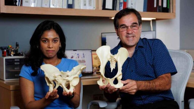 Descubren cómo los humanos llegamos a caminar erguidos
