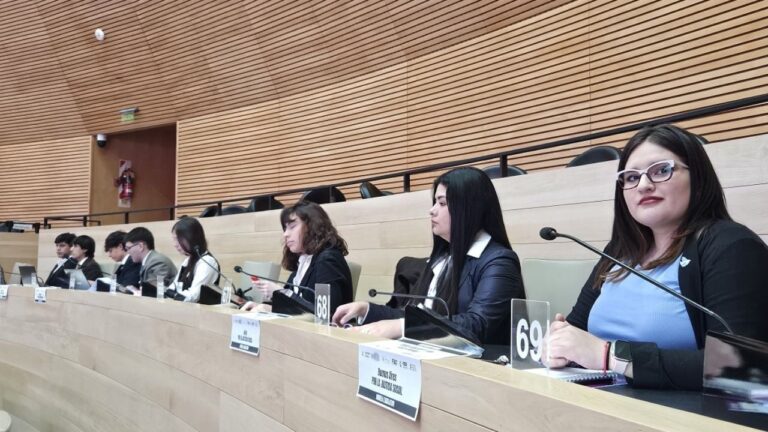 Universitarios debatieron en un simulacro parlamentario en la Legislatura
