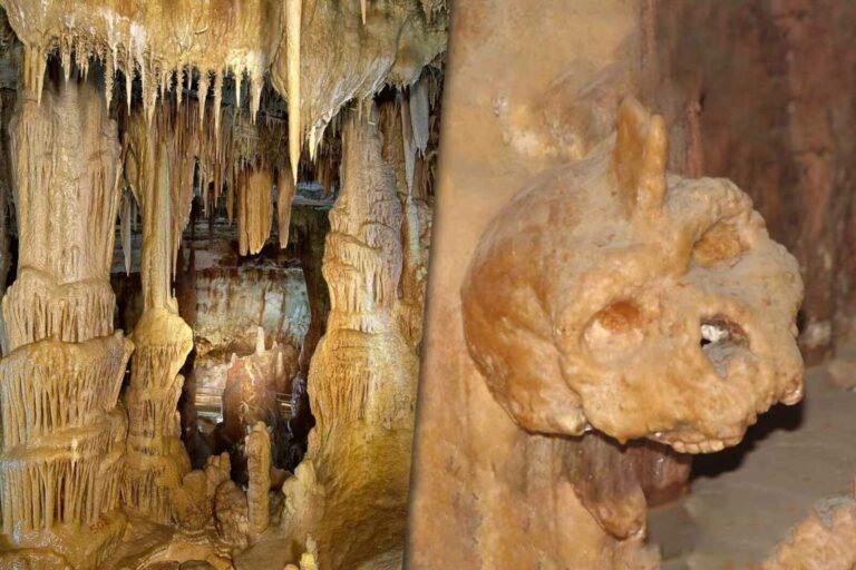 Encuentran un cráneo de 300.000 años en Grecia que no es humano ni neandertal