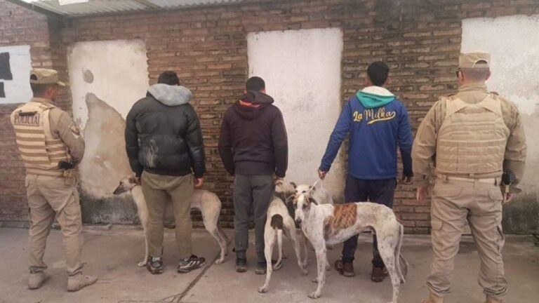 Usaban perros para cazar y fueron sorprendidos en un establecimiento rural