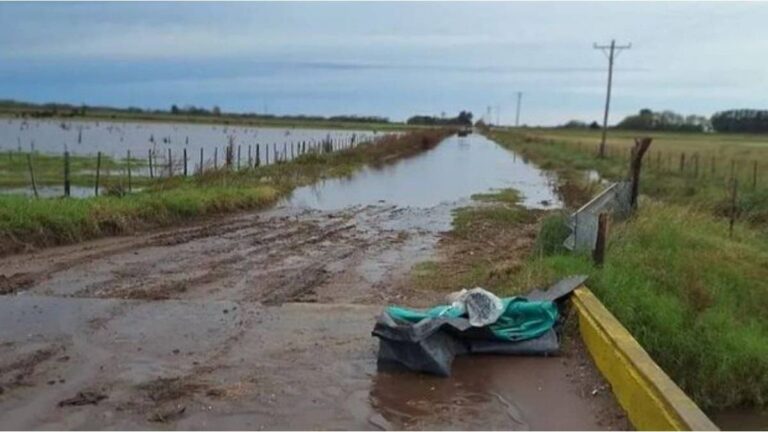 La Provincia declaró la emergencia o desastre agropecuario en diez distritos por inundaciones