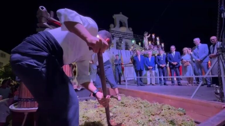 Montilla celebra la pisa de la uva