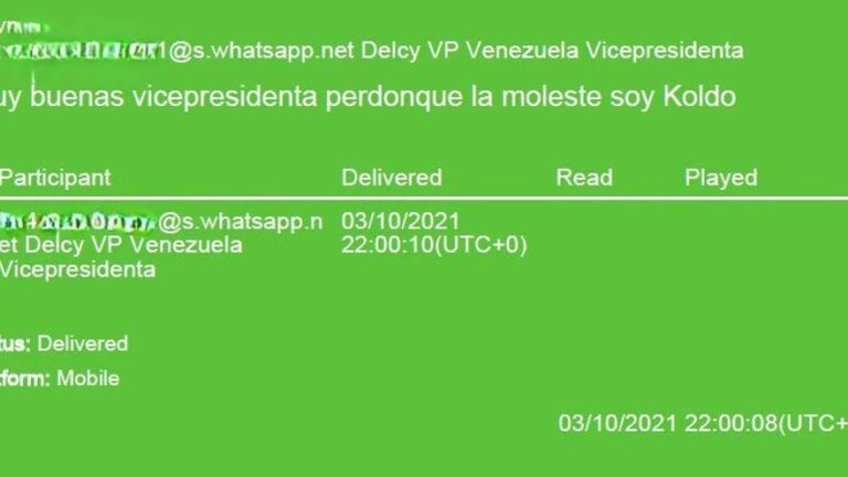 Unos whatsapps descubiertos por la UCO evidencian que Koldo mantuvo relación con la vicepresidenta de Venezuela incluso fuera del Gobierno