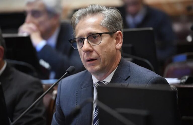 La oposición se prepara para mantener las leyes vetadas por el presidente Javier Milei