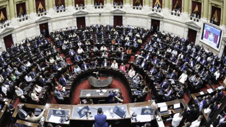 Diputados rechazó los vetos al financiamiento del Garrahan y universidades