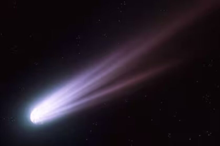 La llegada del cometa 3I/ATLAS, en vivo: dónde se podrá ver y qué se sabe